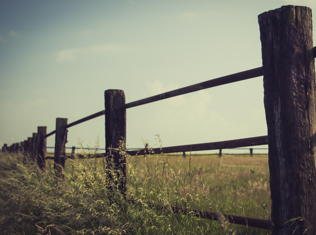 Twoja spółka posiada grunty rolne? Cz. 2. Kiedy KOWR może przejąć udziały i akcje tej spółki?