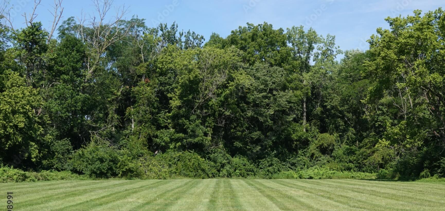 Zagrożenia dla transakcji gruntami rolnymi? Czym jest prawo nabycia przysługujące KOWR?