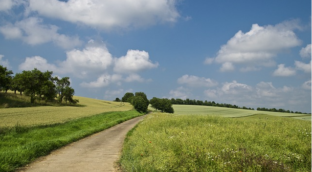 Twoja spółka posiada grunty rolne? Cz. 1. Kiedy KOWR może przejąć należące do niej grunty?